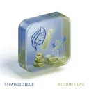 MedSpa Profit Pipeline